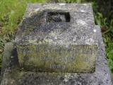 image of grave number 949635
